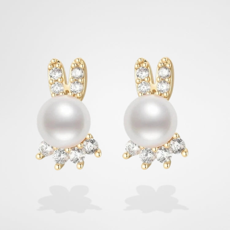 Boucles D'oreilles Argent
