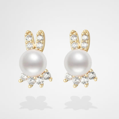 Boucles D'oreilles Argent