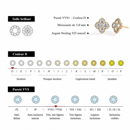 Boucles D'oreilles en Diamant Moissanite pour Femmes